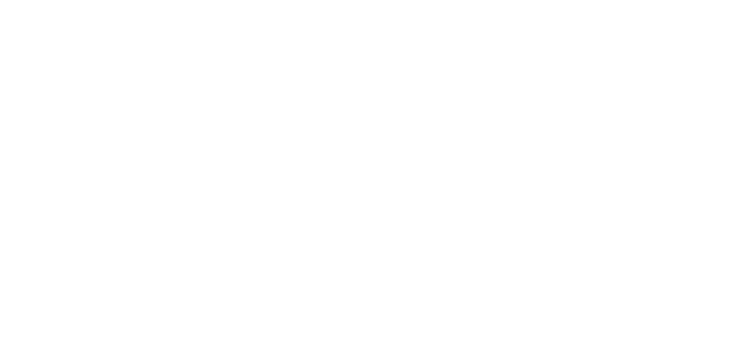 Logo des Partners Stewo